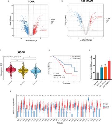 LINC01977 Promotes Breast Cancer Progression and Chemoresistance to Doxorubicin by Targeting miR-212-3p/GOLM1 Axis